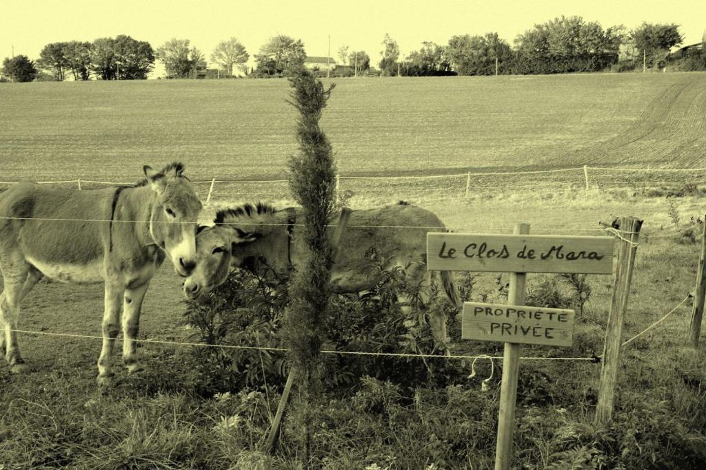 Le Clos De Mara Issus Bagian luar foto